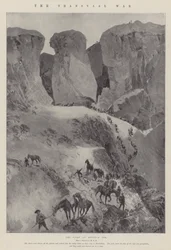The Transvaal War